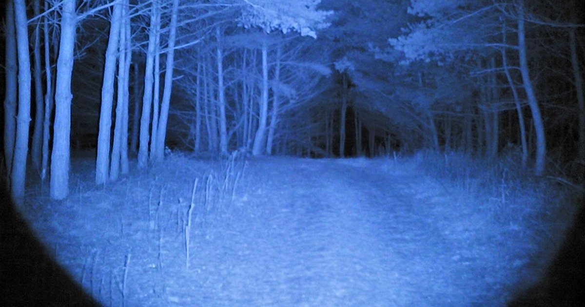 Prywatny Detektyw Trelka Nocą. Noktowizja